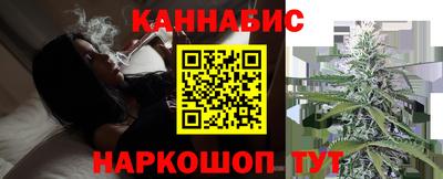 крисы Нальчик