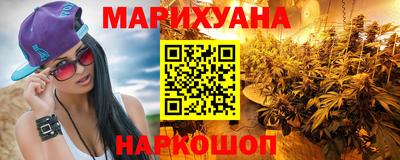 крисы Нальчик
