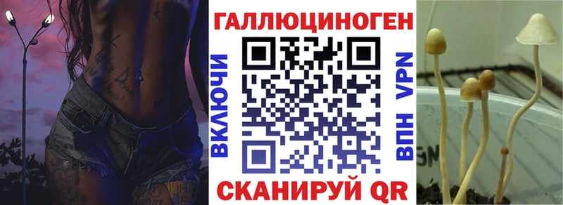 Галлюциногенные грибы Psilocybine cubensis  Печора 