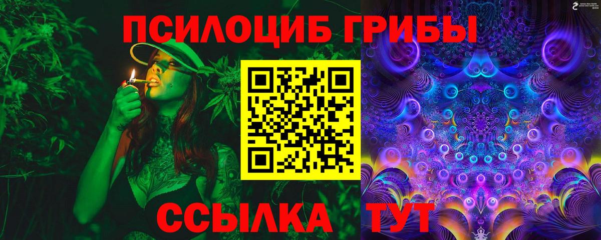 Галлюциногенные грибы прущие грибы Печора