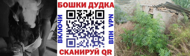 Бошки Шишки SATIVA & INDICA  Печора 